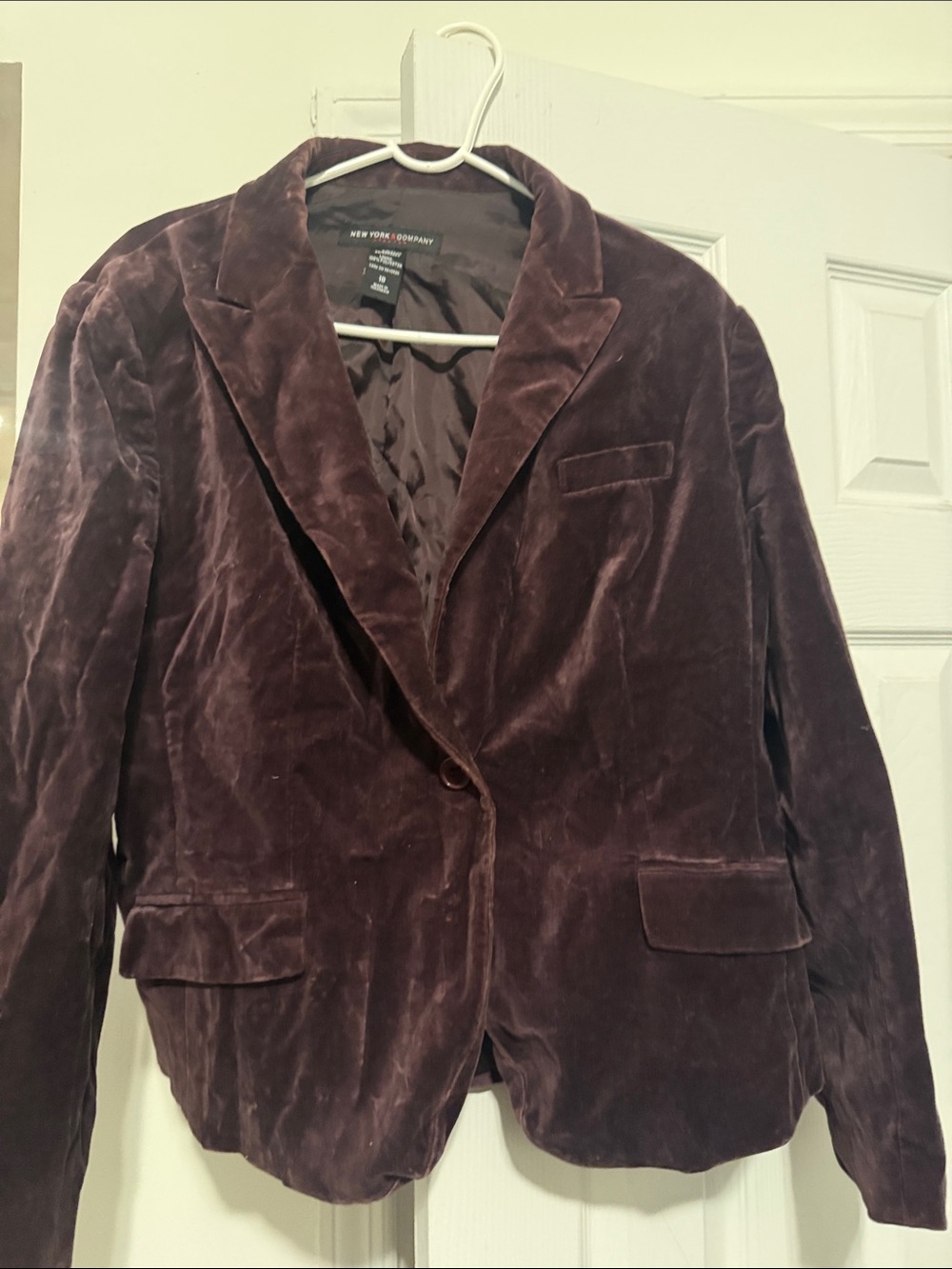 New York & Company Velvet Single-Button Blazer in Deep Plum